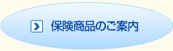 保険商品のご案内